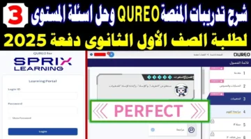 لينك فعال.. رابط منصة كيريو اليابانية تسجيل الدخول 20252025 لتعليم البرمجة والذكاء الاصطناعي لجميع الصفوف الدراسية